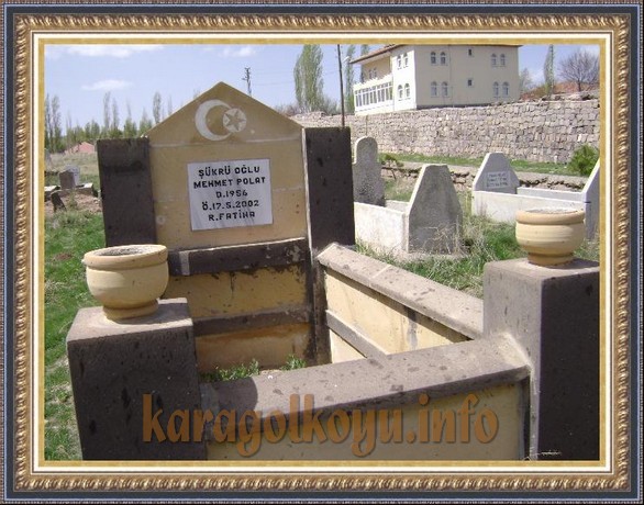MEHMET POLAT