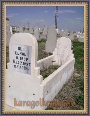 ALİ ELMALI
