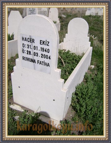 HACER EKİZ