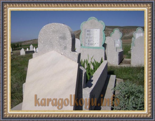 MEVL�T AKPINAR