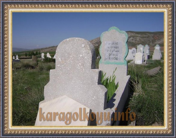 D�RİYE AKPINAR