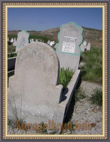 ŞEMSEDDİN SARIYAR