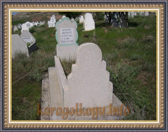 G�KSEL AKPINAR
