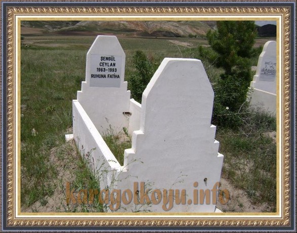 ŞENG�L CEYLAN