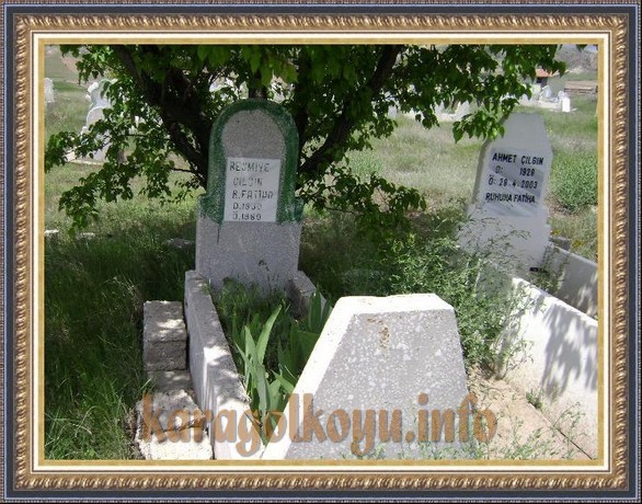 RESMİYE �ILGIN
