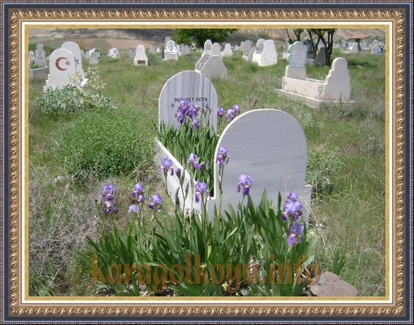 MEHMET ACAR