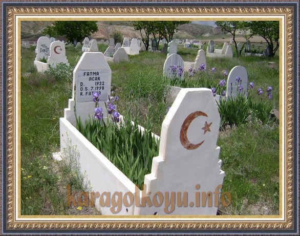 FATMA ACAR