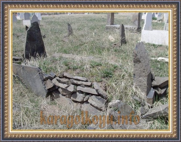 SNV33370.JPG