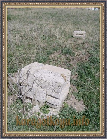 SNV33452.JPG