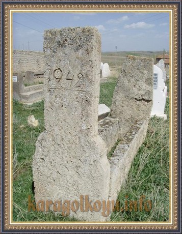 SNV33473.JPG