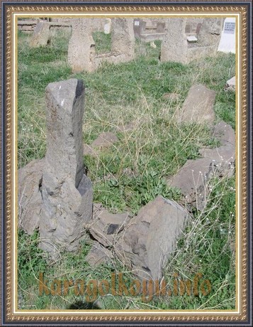 SNV33482.JPG