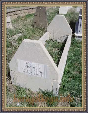 AYŞE MİLLİ