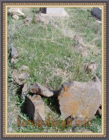 SNV33521.JPG