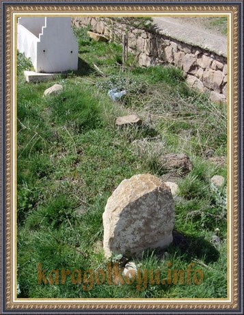 SNV33526.JPG