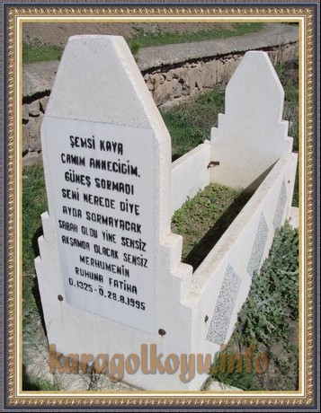 ŞEMSİ KAYA