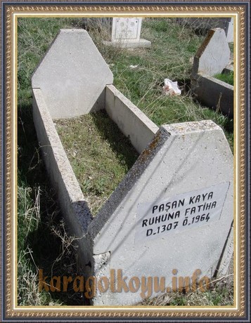 PAŞAN KAYA