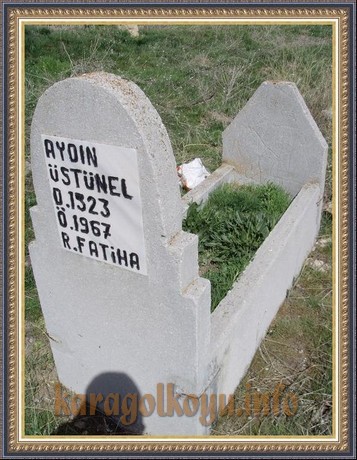AYDIN �ST�NEL
