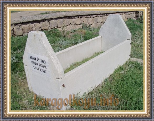 FERİD �ST�NEL