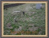 DSC06841.JPG