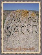 S. ACAR