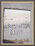 NESİBE G�RCAN