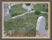MEHMET DİN�ER