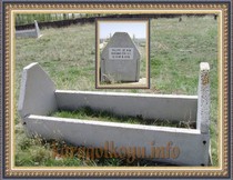 HALİME SE�KİN