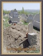 SNV33327.JPG