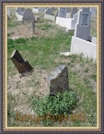 SNV33408.JPG