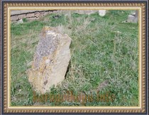 SNV33476.JPG