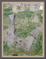 SNV33482.JPG
