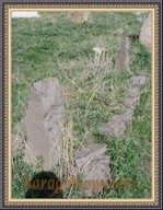 SNV33483.JPG
