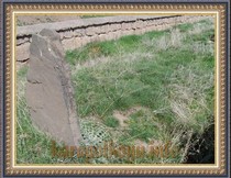 SNV33495.JPG