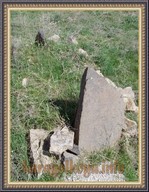 SNV33505.JPG